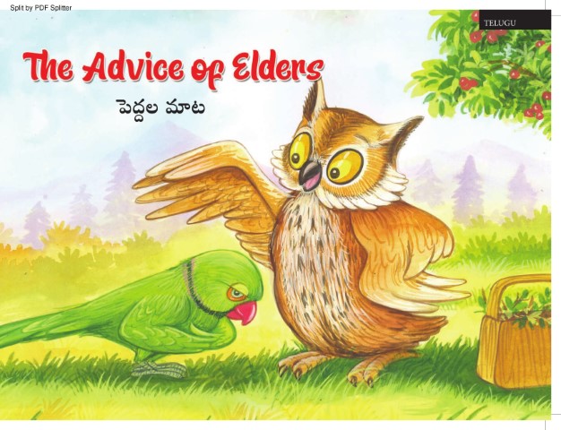 The Advice of Elders